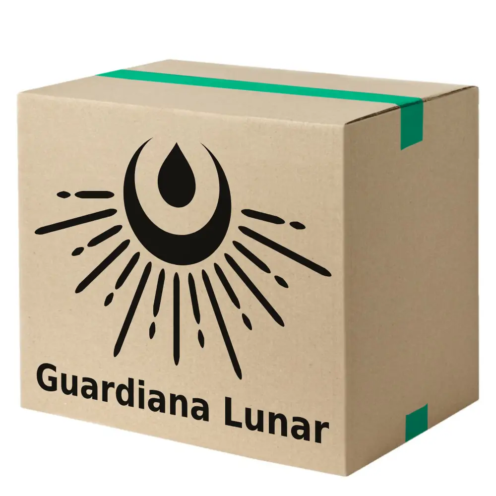 Paquete: 6 Planners Guardiana Lunar 2024-2025