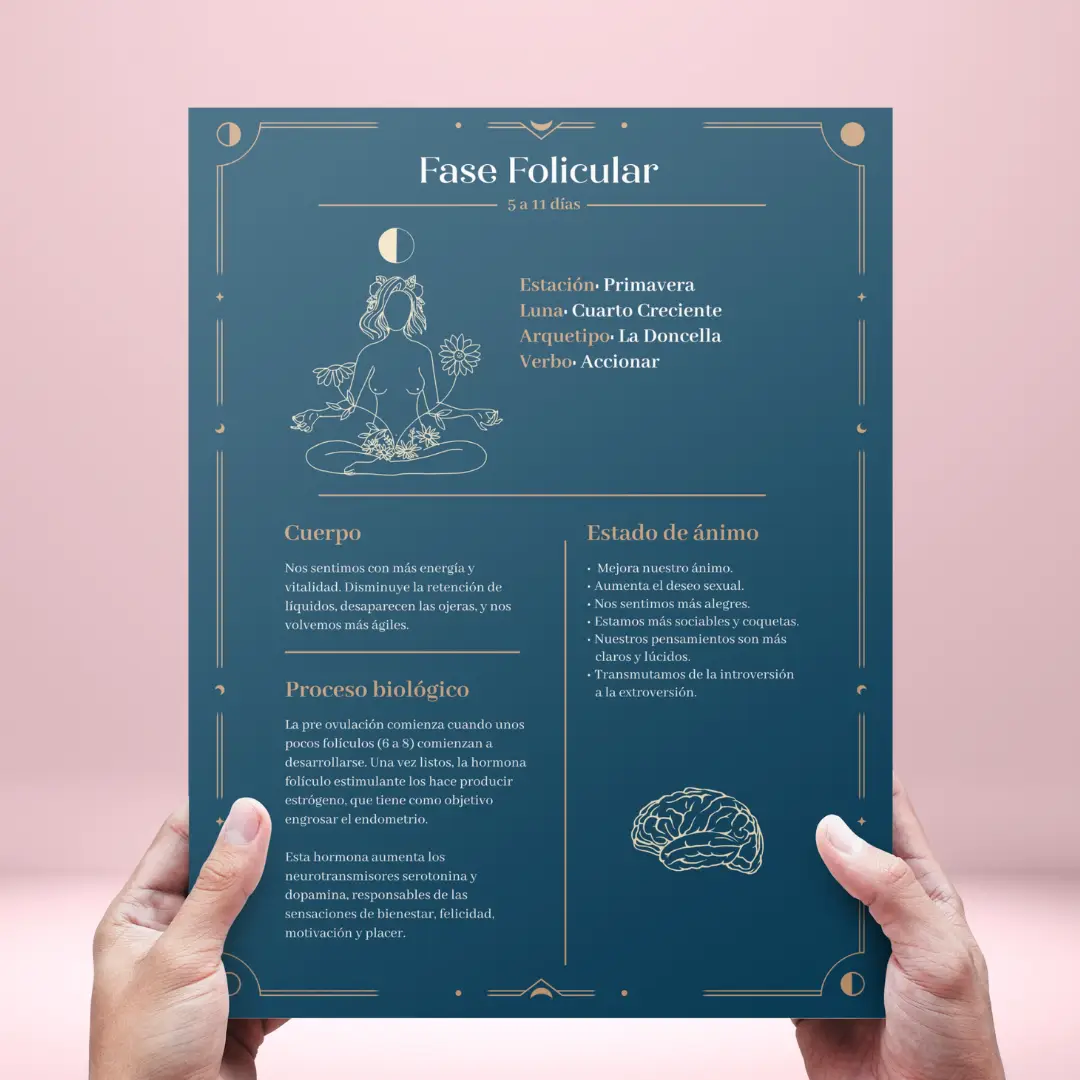 Láminas Imprimibles 4 Fases del Ciclo - Guardiana Lunar PDF