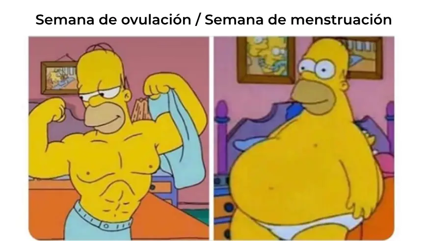 memes ovulación memes de menstruación